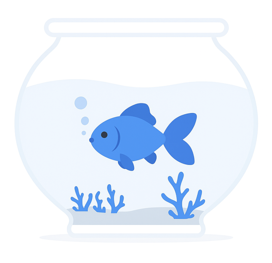 बाद मेंका सिक्के