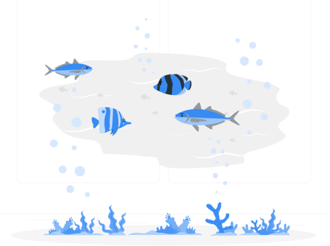 CoinTracking Starter