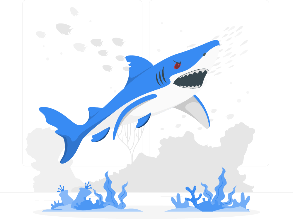 코인 추적 전문가