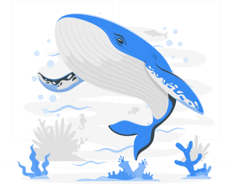 CoinTracking无限版